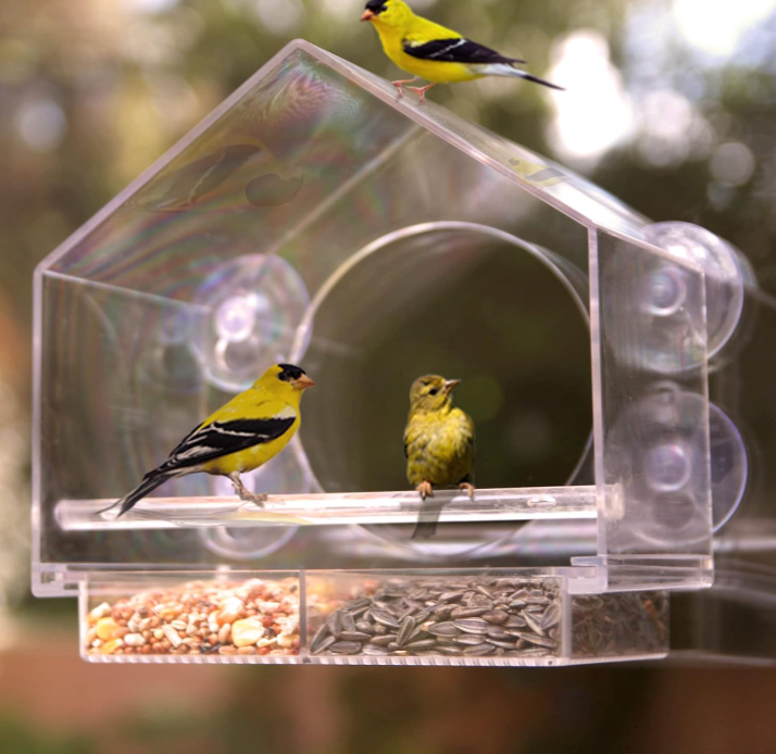 Weatherproof Clear Bird Watching Feeder