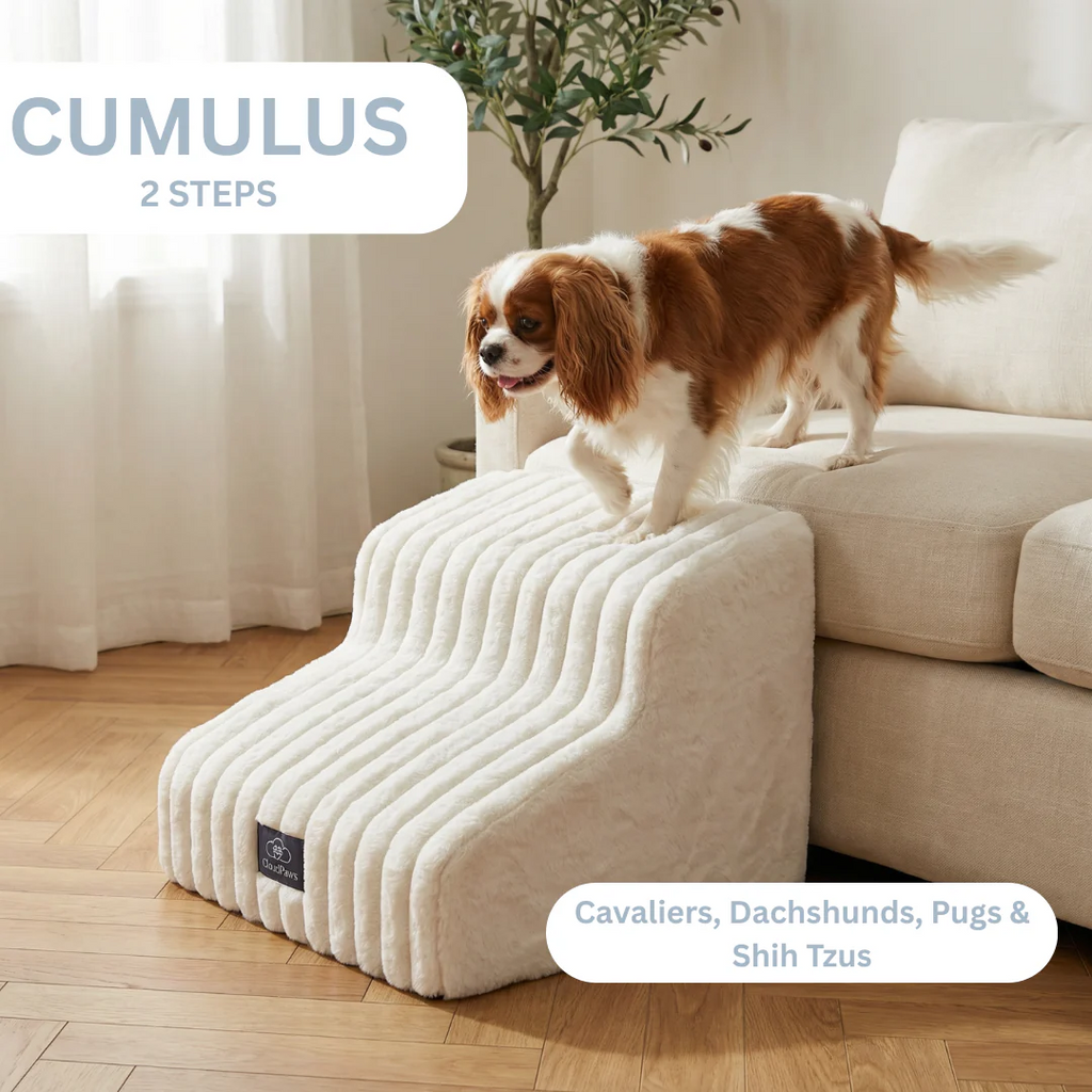 Pet Sofa 🐕