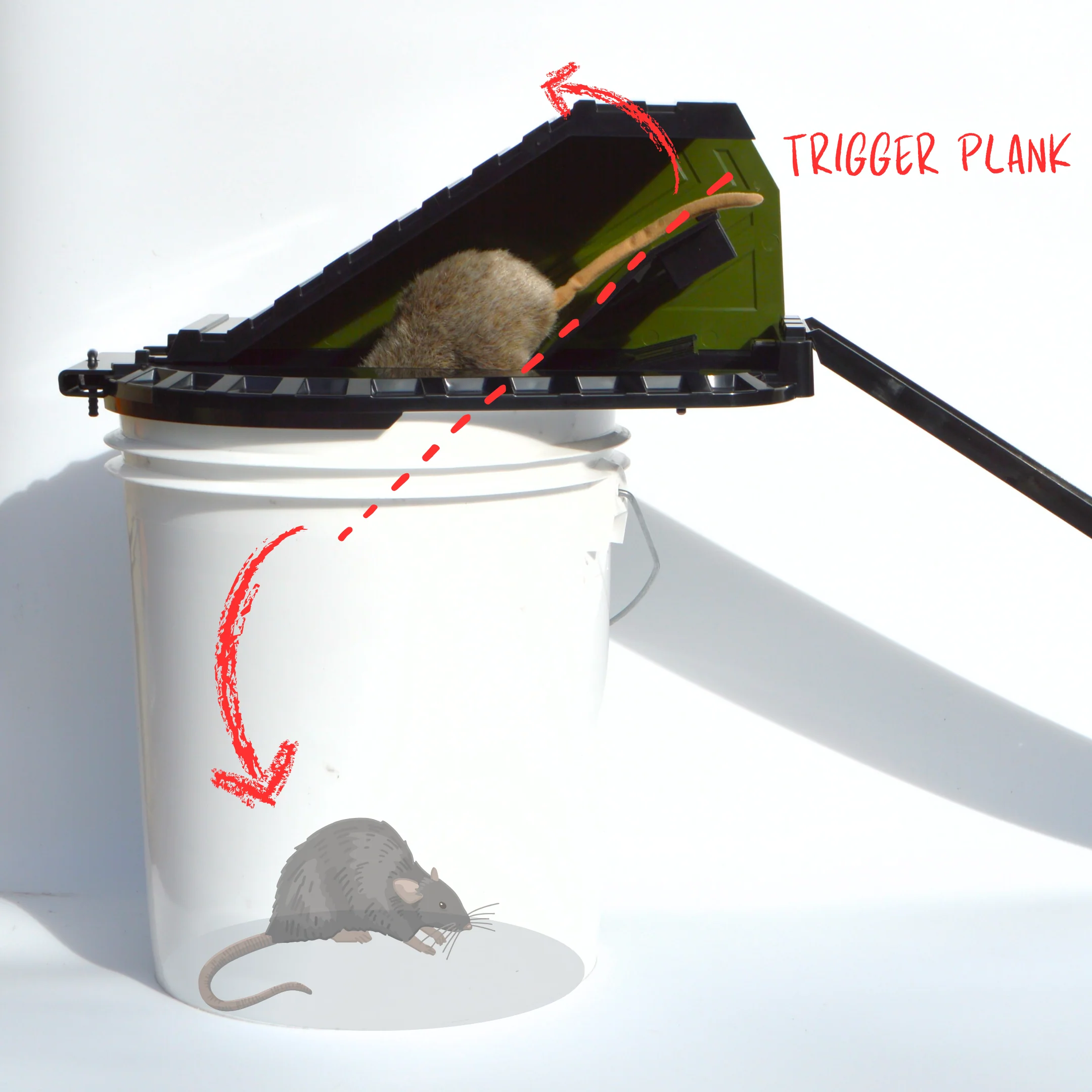 Bucket Lid Rodent Trap for Rats & Squirrels