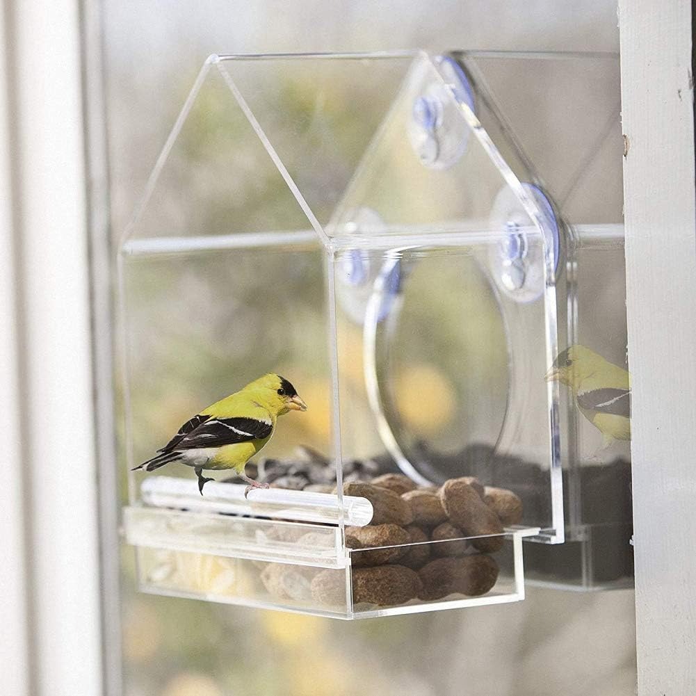Weatherproof Clear Bird Watching Feeder