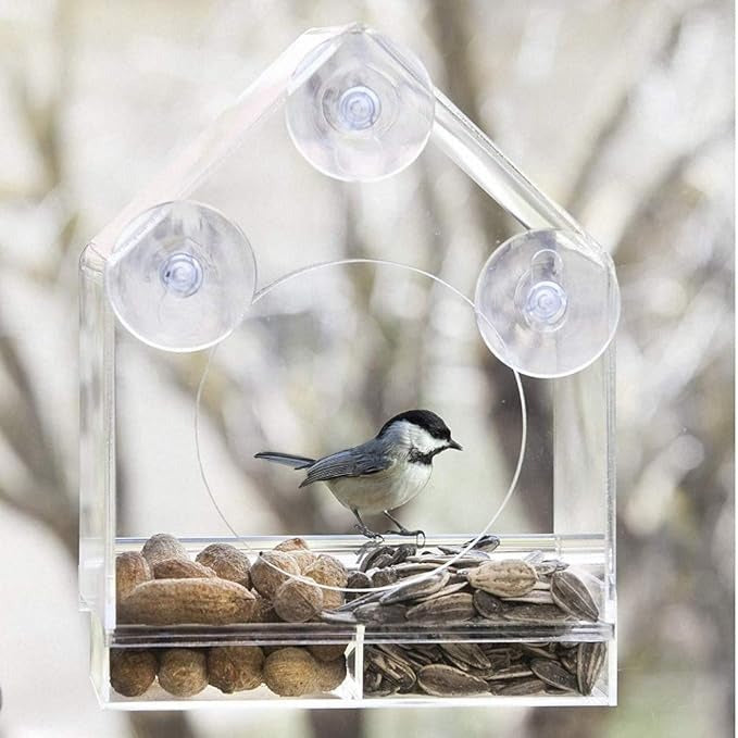 Weatherproof Clear Bird Watching Feeder