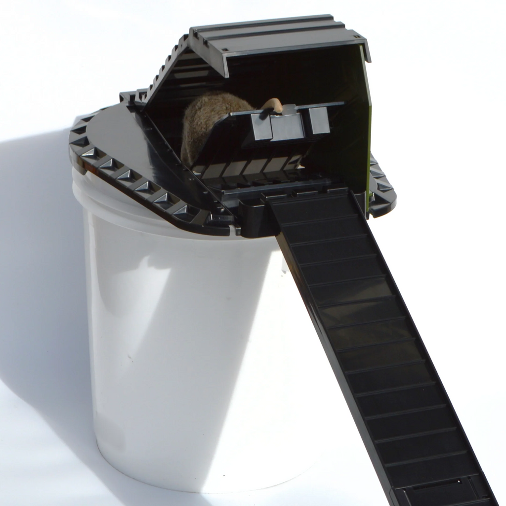 Bucket Lid Rodent Trap for Rats & Squirrels