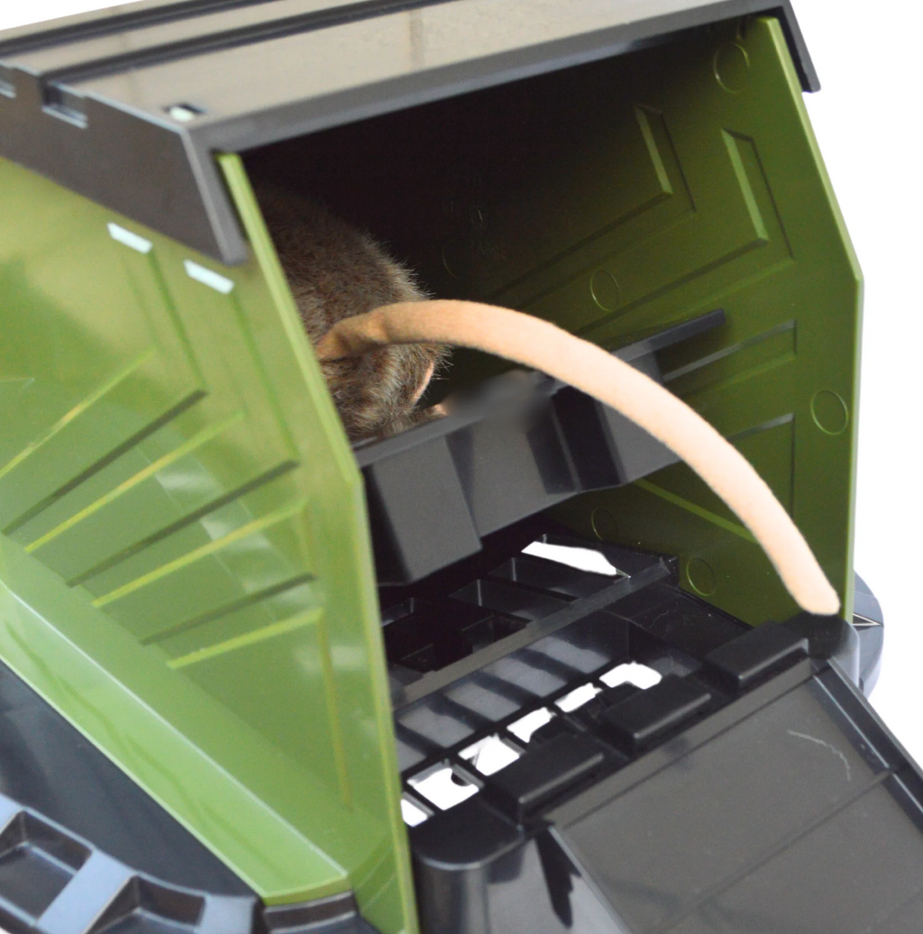 Bucket Lid Rodent Trap for Rats & Squirrels