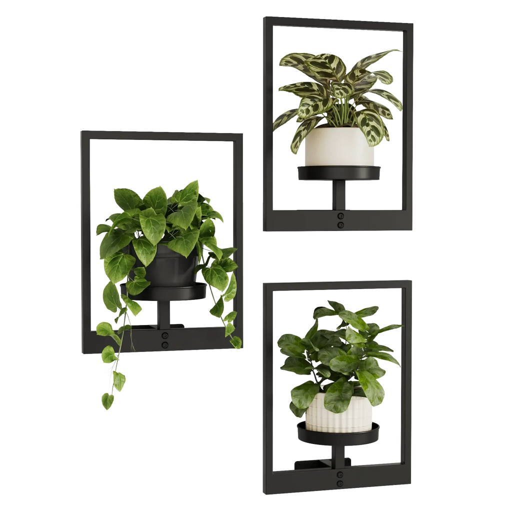 Modern Photo Frame Plant Stand