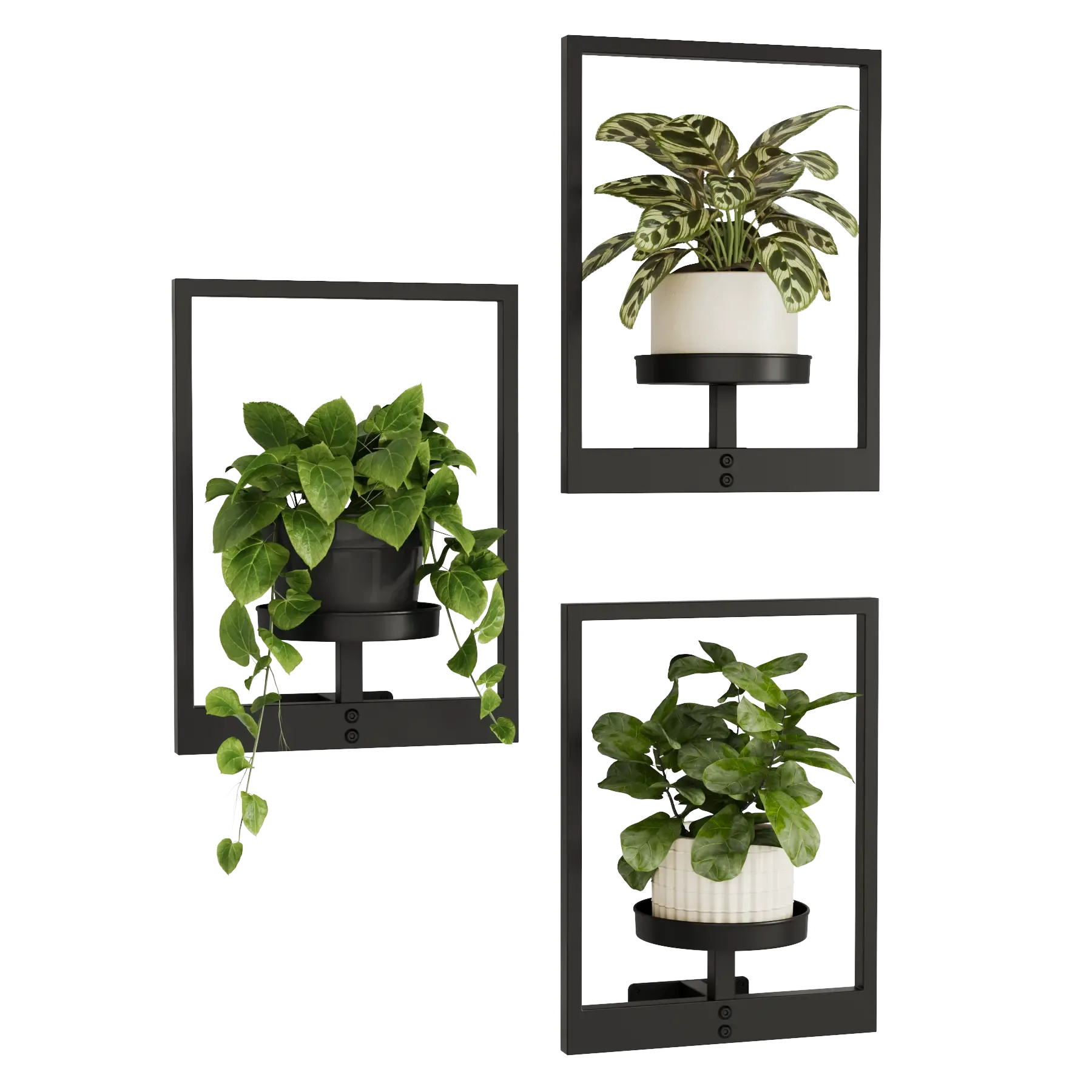 Modern Photo Frame Plant Stand
