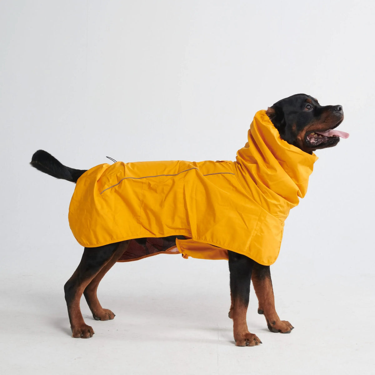 Reflective Full-Body Windproof Dog Dry Suit