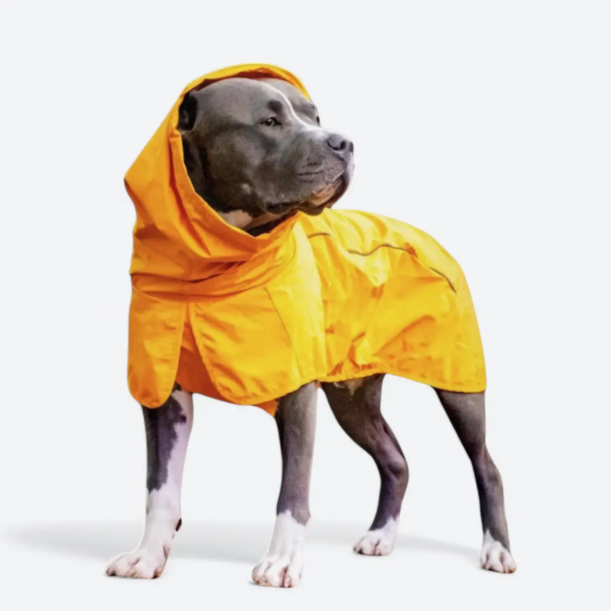 Reflective Full-Body Windproof Dog Dry Suit