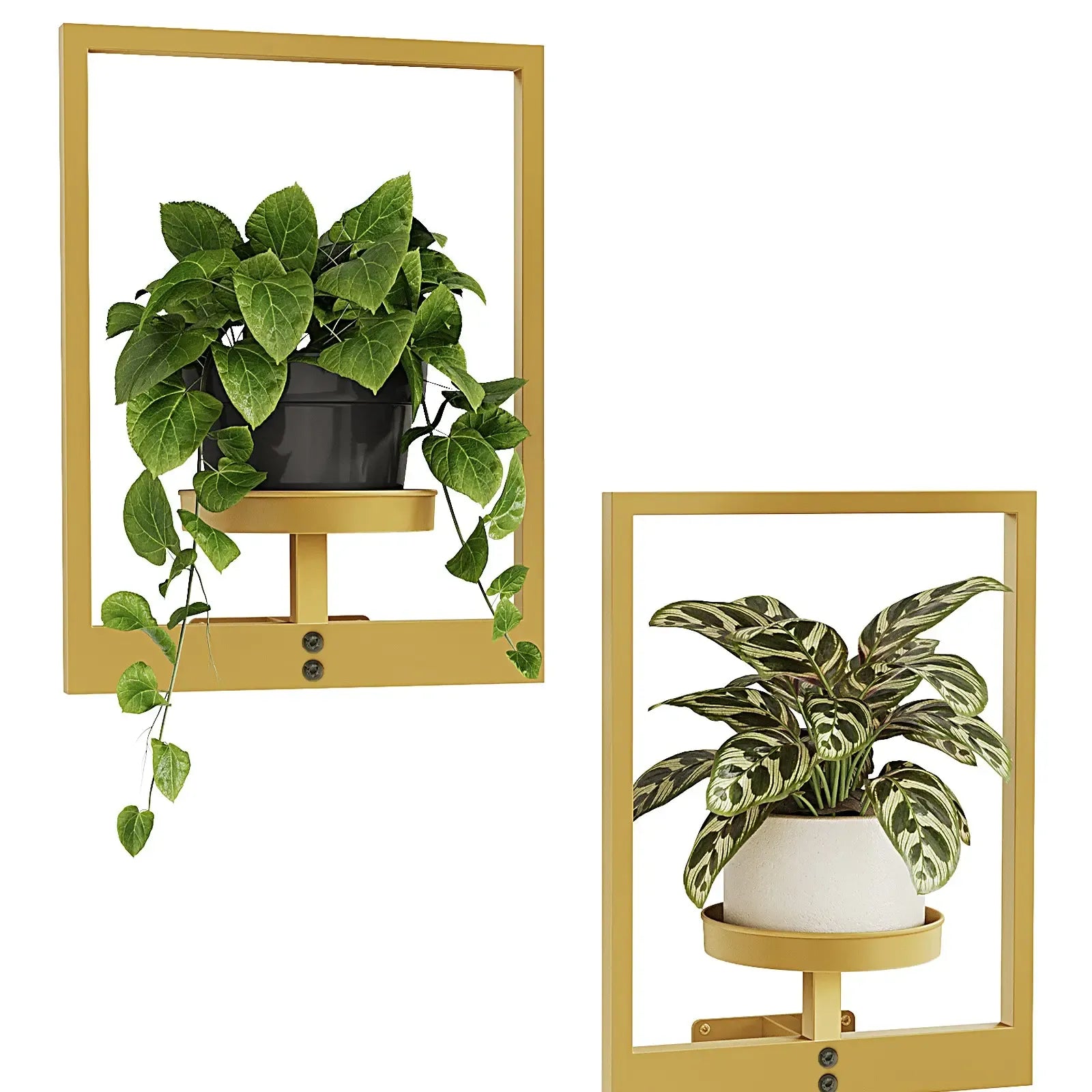 Modern Photo Frame Plant Stand
