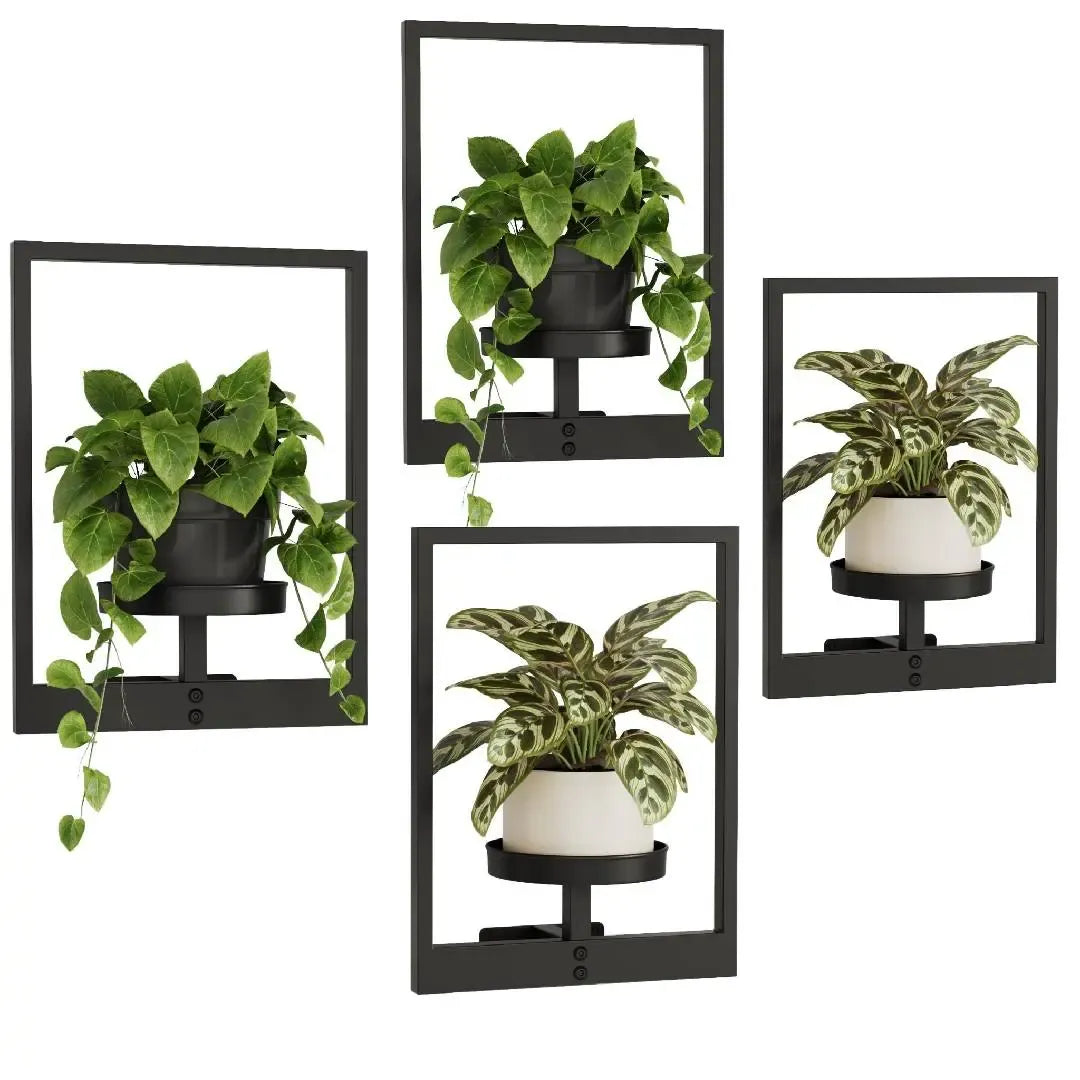 Modern Photo Frame Plant Stand