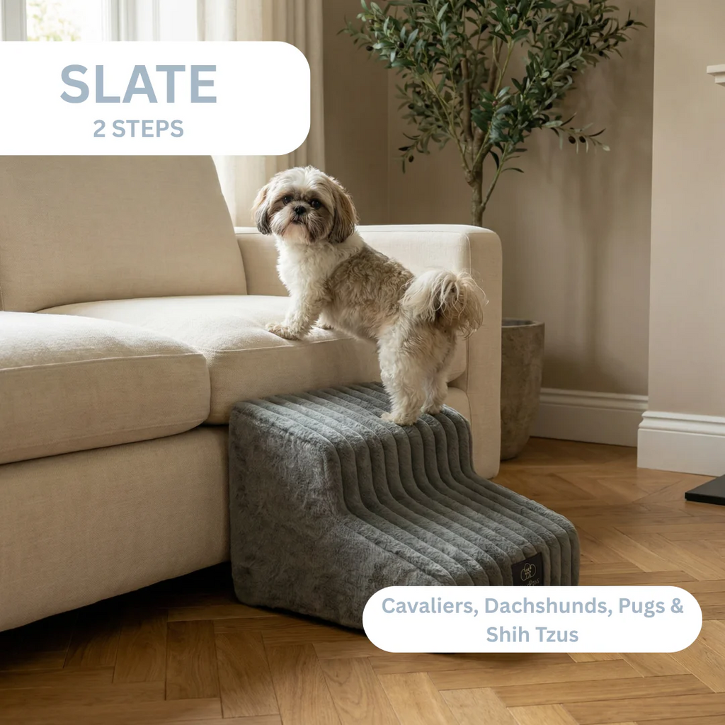 Pet Sofa 🐕