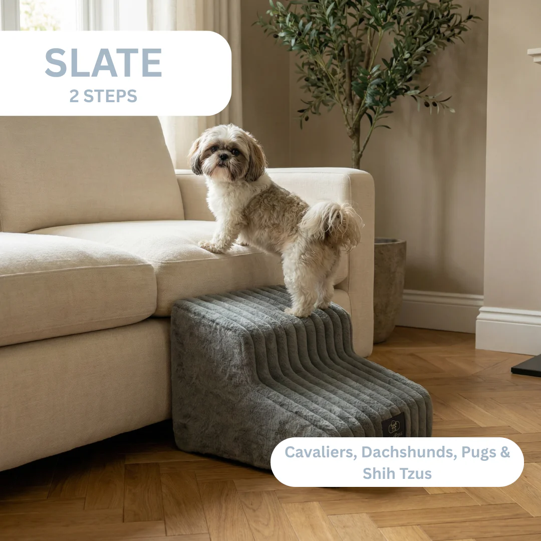 Pet Sofa 🐕