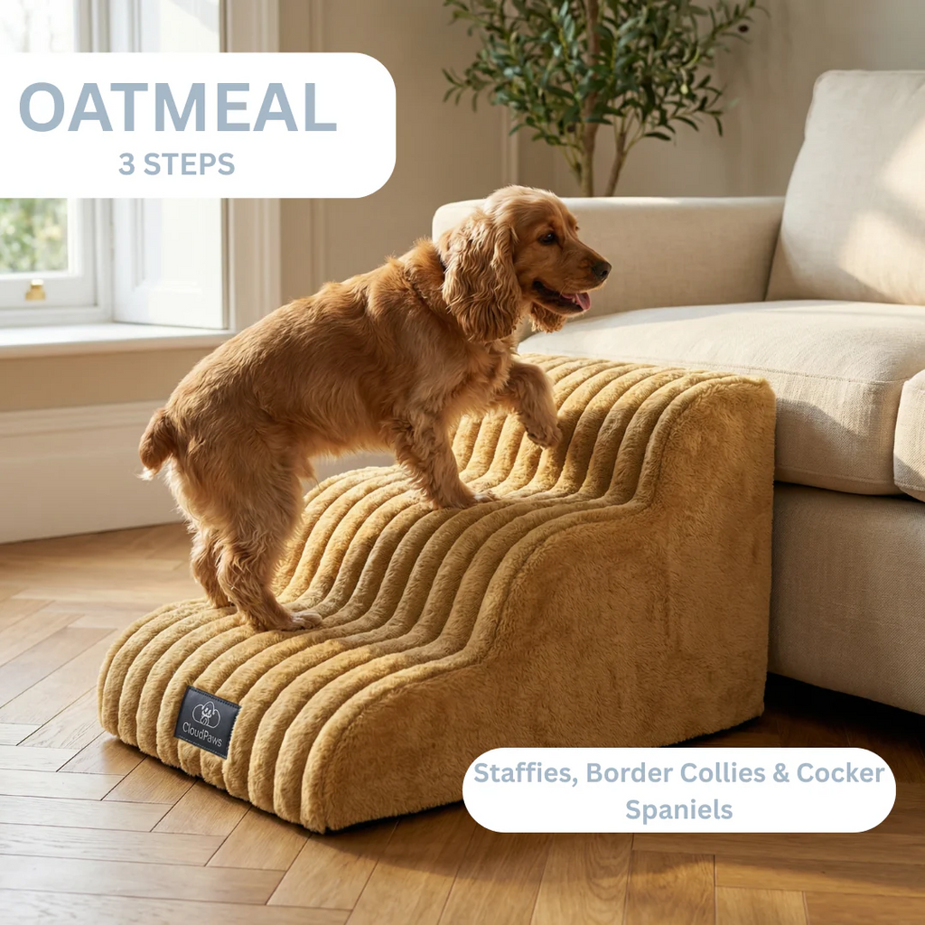 Pet Sofa 🐕