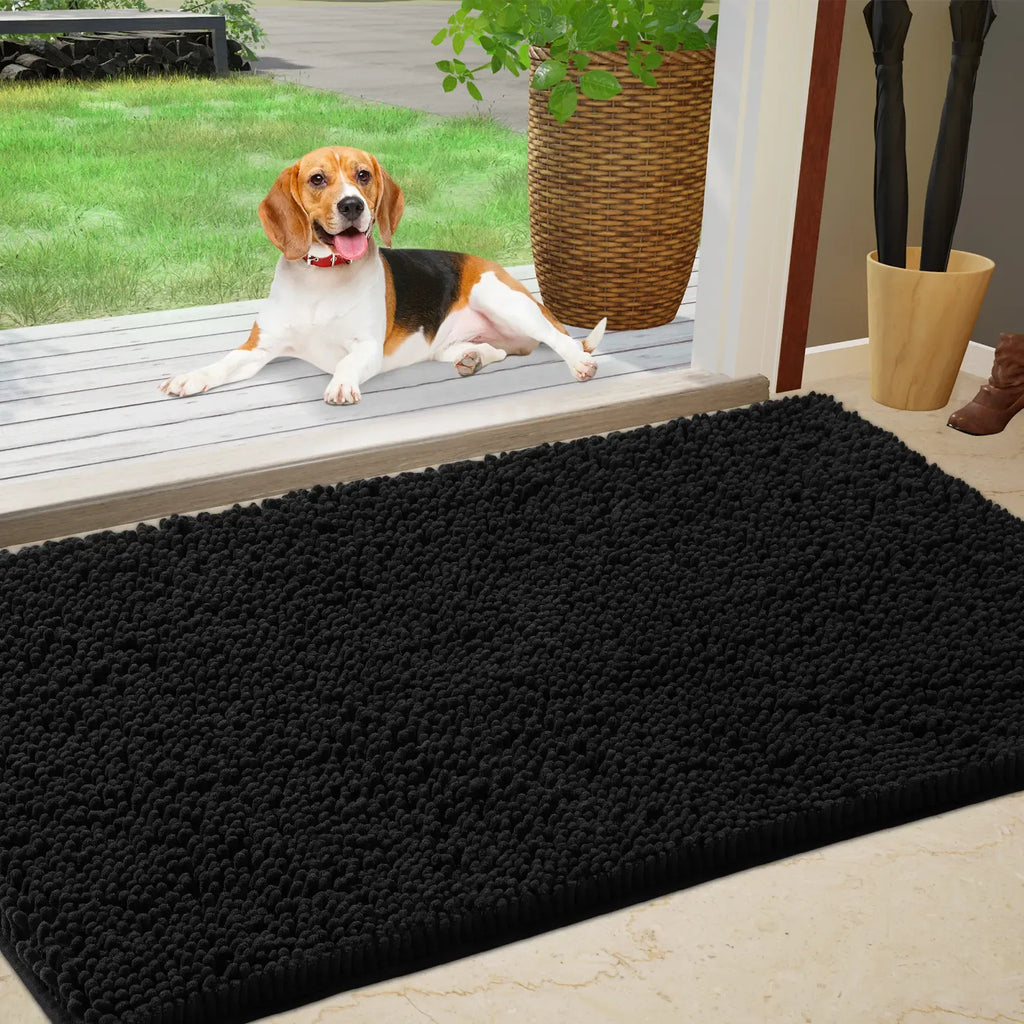 Chenille Absorbent Outdoor Doormat