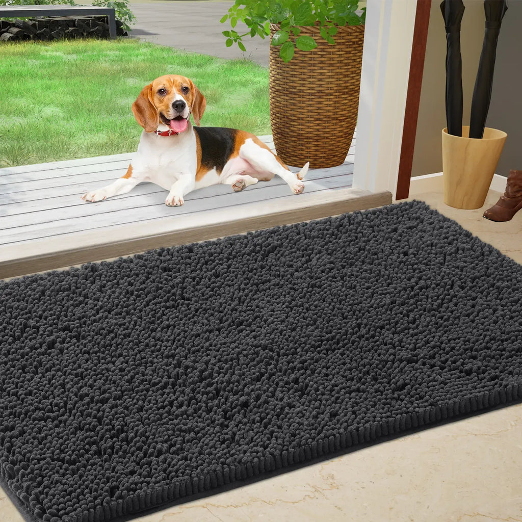 Chenille Absorbent Outdoor Doormat