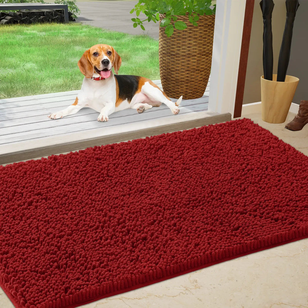 Chenille Absorbent Outdoor Doormat