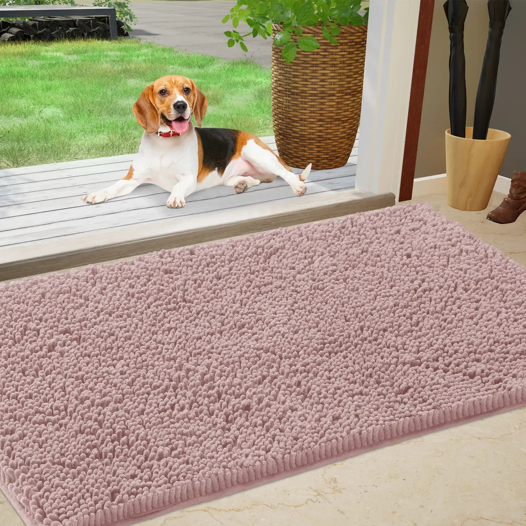 Chenille Absorbent Outdoor Doormat
