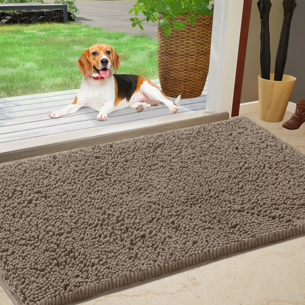 Chenille Absorbent Outdoor Doormat
