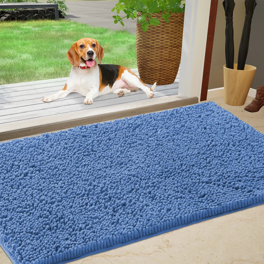 Chenille Absorbent Outdoor Doormat