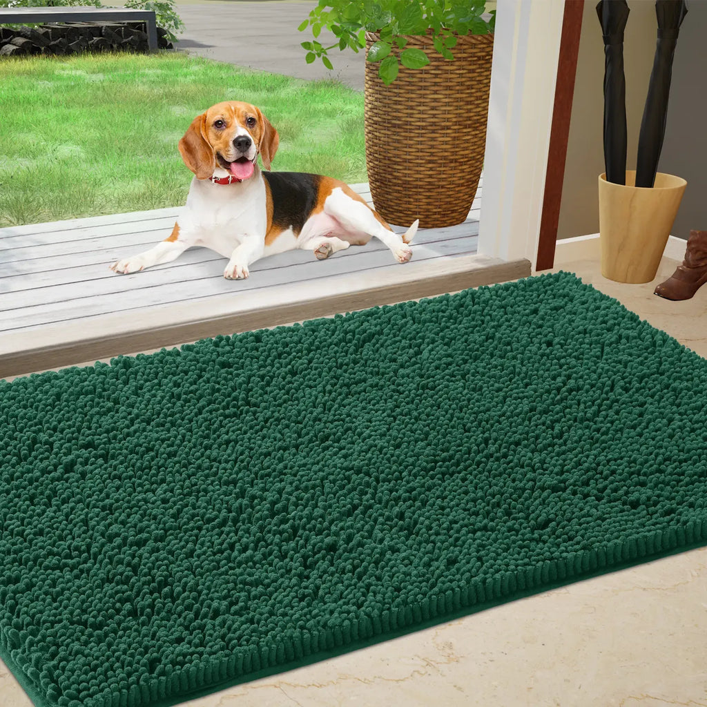 Chenille Absorbent Outdoor Doormat