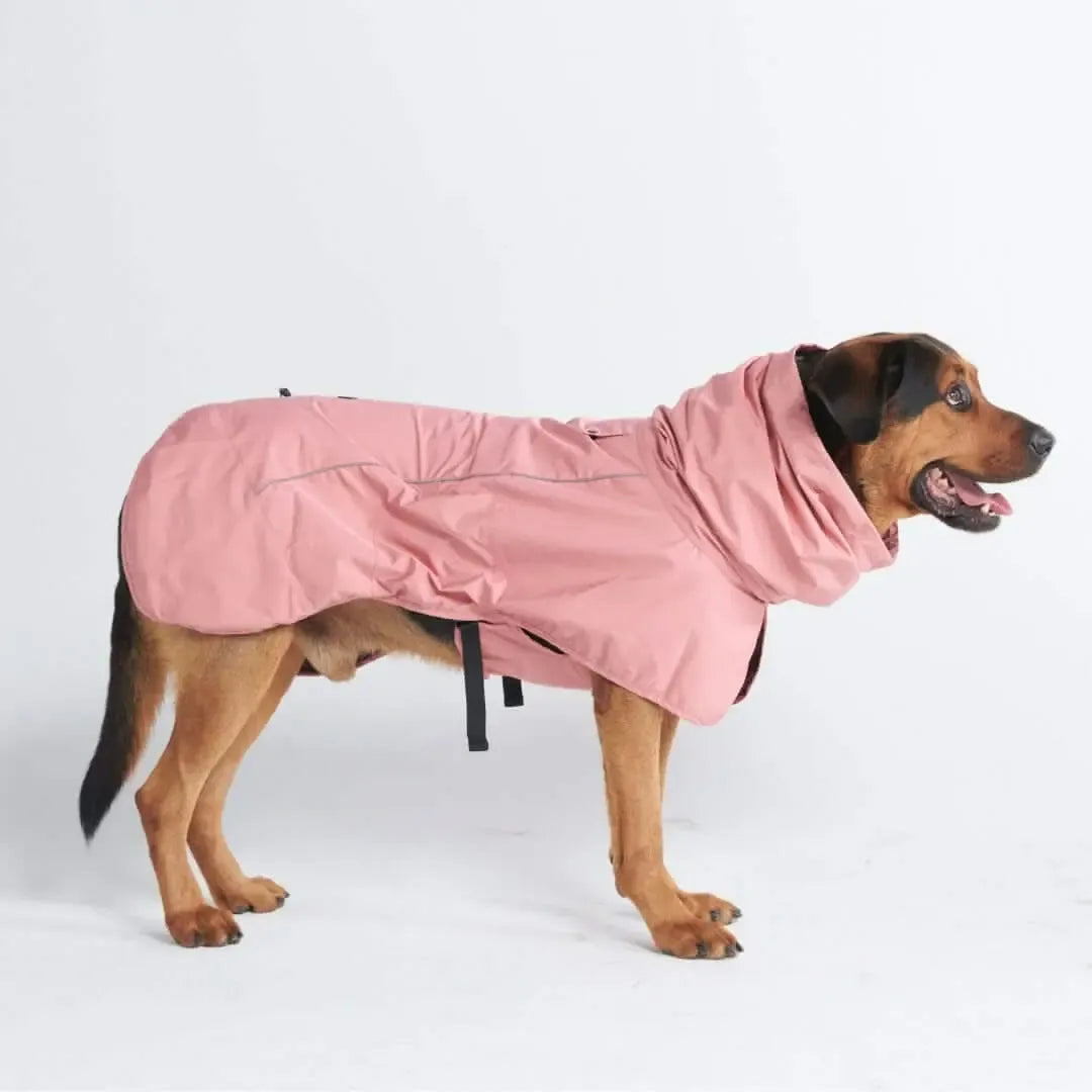 Reflective Full-Body Windproof Dog Dry Suit