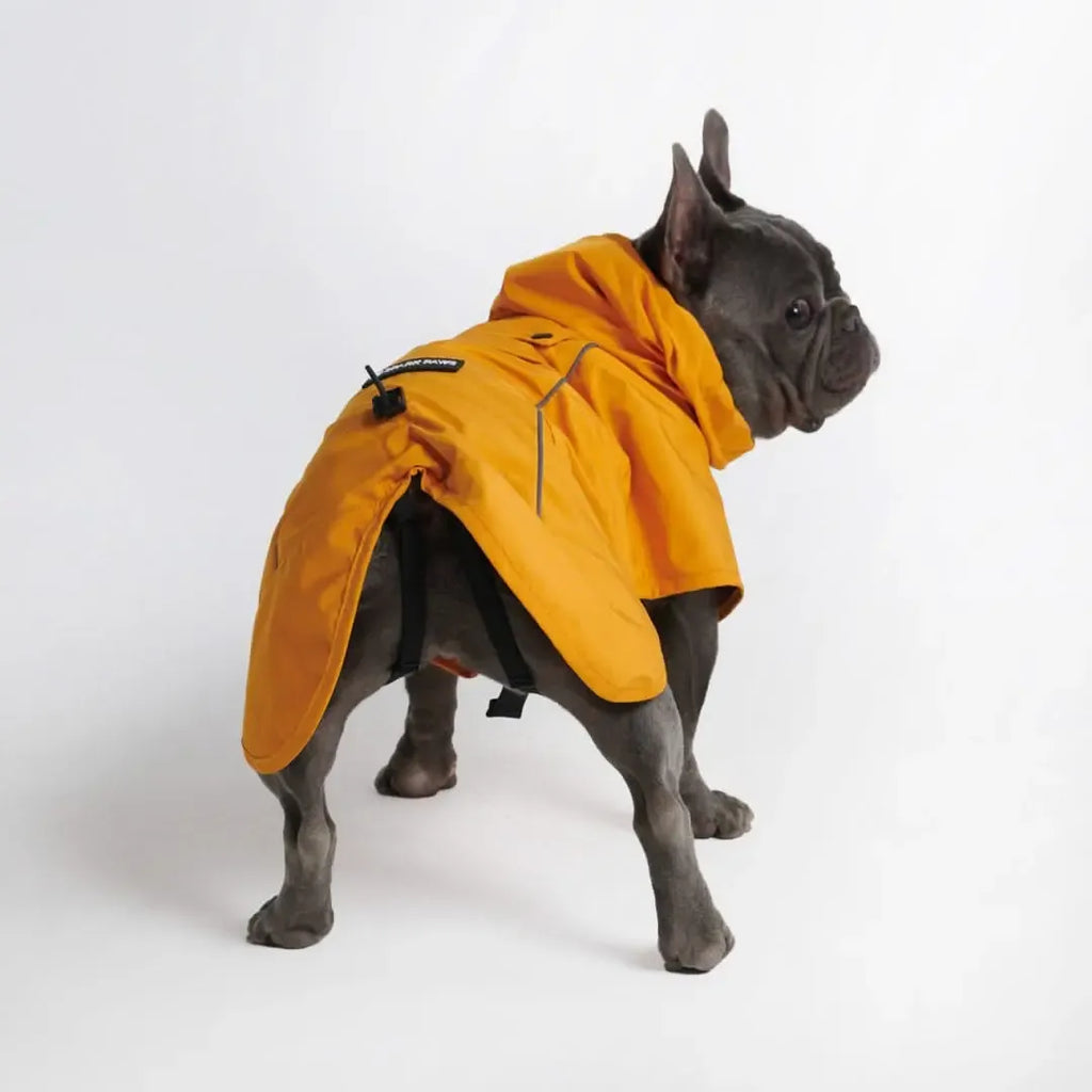 Reflective Full-Body Windproof Dog Dry Suit