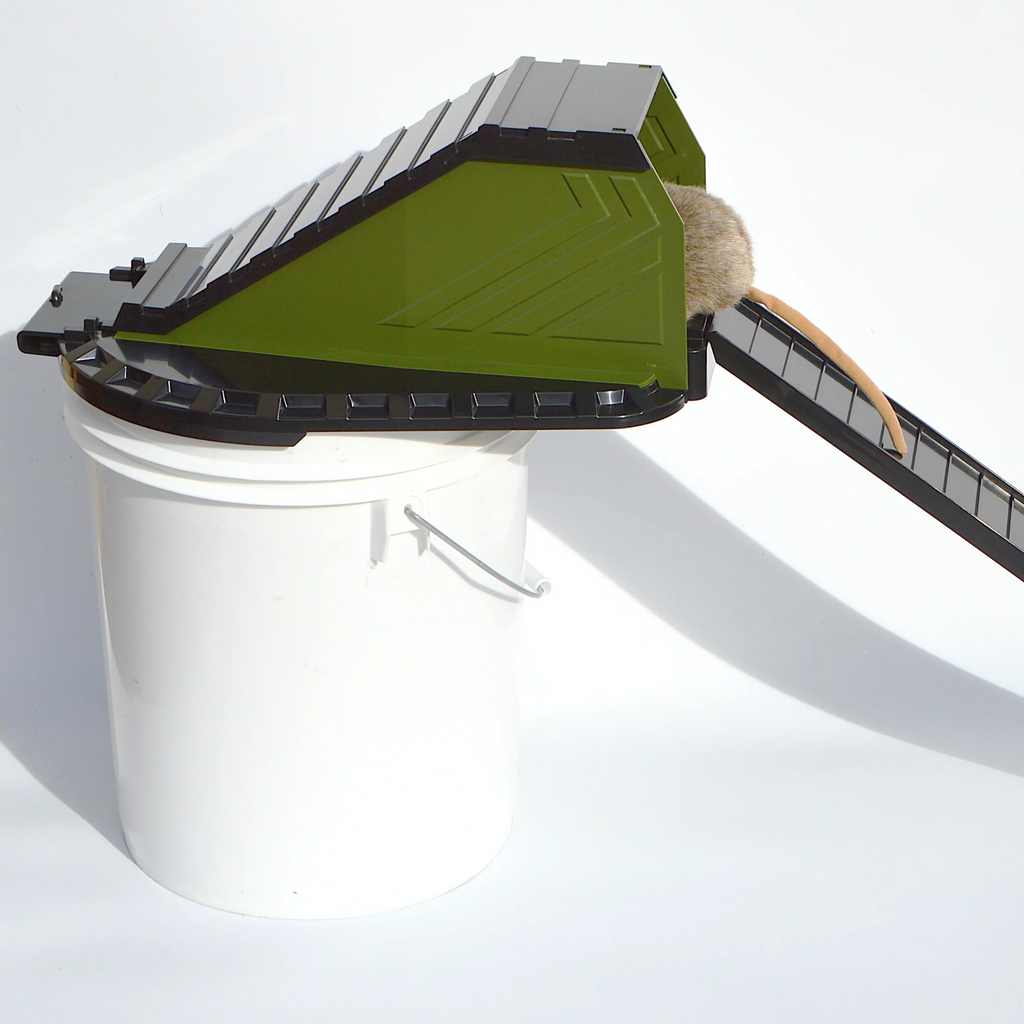 Bucket Lid Rodent Trap for Rats & Squirrels