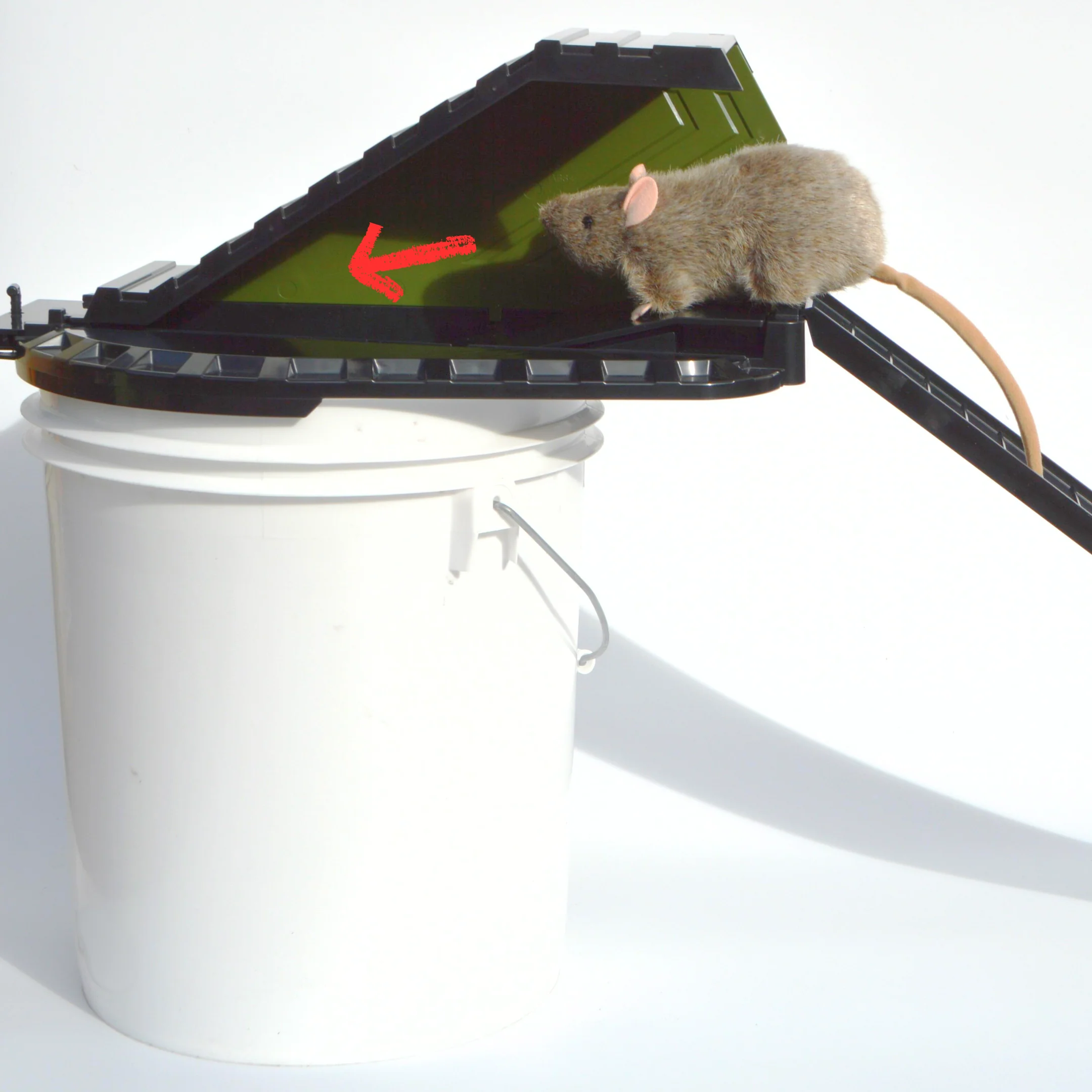 Bucket Lid Rodent Trap for Rats & Squirrels