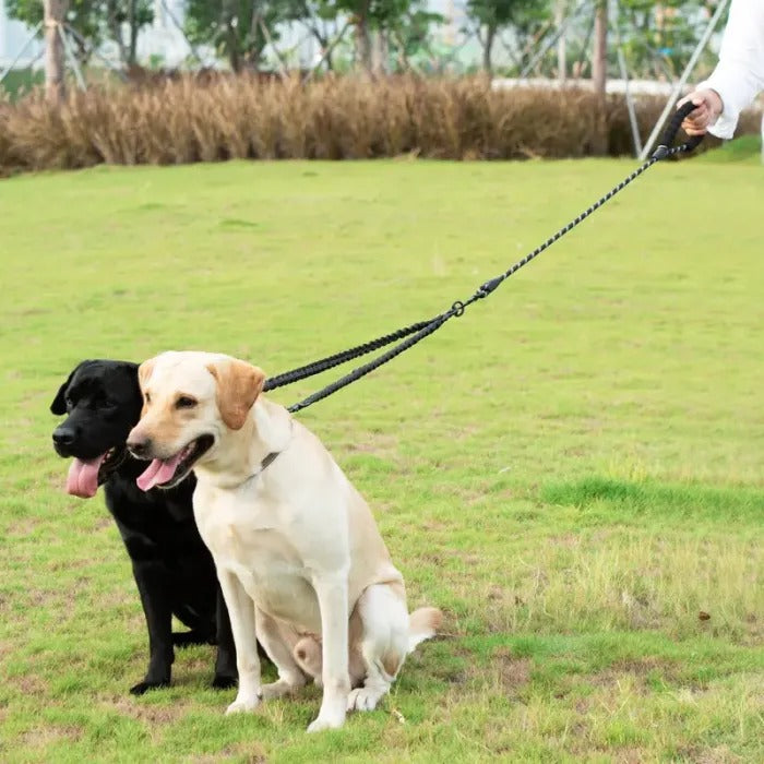 360° Swivel Dual Dog Leash