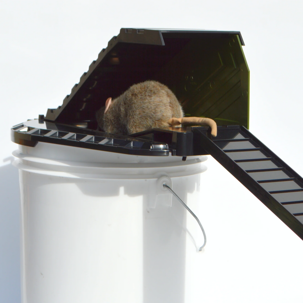Bucket Lid Rodent Trap for Rats & Squirrels